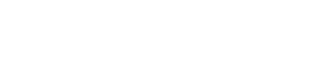 Logo Momentum